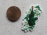 Second view of Irish Cello Needle Minder.