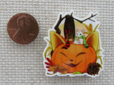 Second view of Cat Pumpkin Needle Minder.