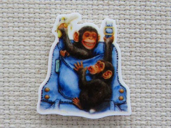 First view of Chimps Playing in Pockets Needle Minder.