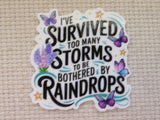 First view of Butterfly Saying I Survived too many Storms to be Bothered by Raindrops Minder.
