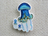 First view of Man o War Jellyfish Needle Minder.