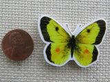 Second view of Yellow Butterfly Needle Minder.
