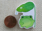 Second view of a frog  sitting under a leaf with a couple of raindrops on it needle minder.