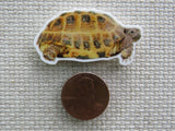 Second view of Desert Tortoise Needle Minder.