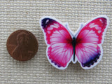 Second view of  pink butterfly with dark purple wingtips minder.