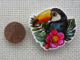 Second view of a toucan sitting in leaves with a flower minder.