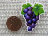 Second view of Purple Grapes Needle Minder.