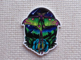 First view of African Moon Moth with a Blue Flower Needle Minder.