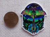 Second view of African Moon Moth with a Blue Flower Needle Minder