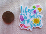 Second view of Life is Better at the Pool Needle Minder.