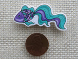 Second view of bluish green and purple fish with a fancy tail minder.