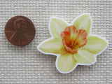 Second view of a buttercup needle minder.