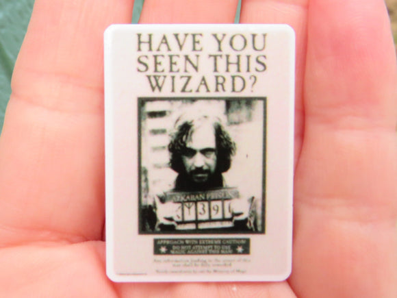 First view of Have You Seen This Wizard? Needle Minder.