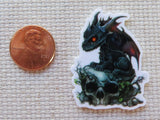 Second view of Black Skull Dragon Needle Minder.