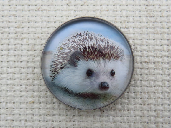 First view of Hedgehog Domed Needle Minder.