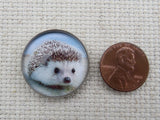 Second view of Hedgehog Domed Needle Minder.