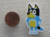 Second view of Bluey Needle Minder.
