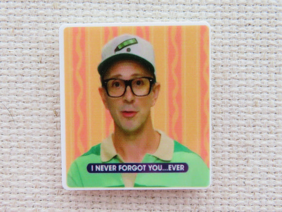 First view of I Never Forgot You....Ever Needle Minder.