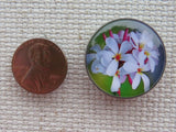 Second view of Plumeria Blossoms Domed Needle Minder.