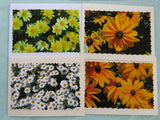 Third group of daisy cards.