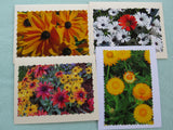 Forth group of daisy cards.