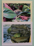 Second view of 2 of the frog cards.