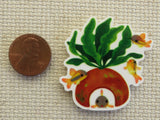 Second view of Cory Cat Fish Needle Minder.