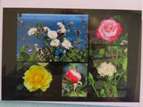 Collage photo of all 5 rose photos included in this pack.