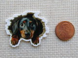 Second view of Hi There Dachshund Needle Minder.