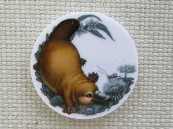 First view of Platypus in a Circle Needle Minder.