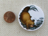 Second view of Platypus in a Circle Needle Minder.