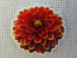 First view of Burnt Orange Dahlia Needle Minder.