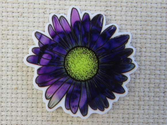 First view of Beautiful purple daisy with a yellow center minder.
