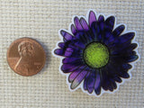 Second view of Beautiful purple daisy with a yellow center.