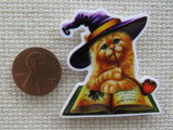 Second view of Ginger Cat Witch Needle Minder.