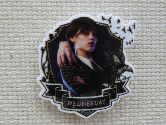 First view of Wednesday Addams Needle Minder.