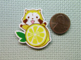Second view of the Red Panda with a Lemon Needle Minder