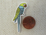 Second view of Blue and Gold Macaw Needle Minder.