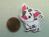 Second view of the Pua Needle Minder
