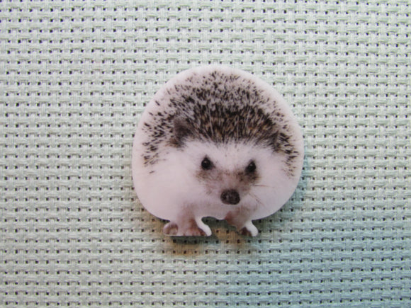 First view of the Hedgehog Needle Minder