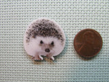 Second view of the Hedgehog Needle Minder