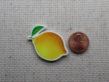 Second view of lemon needle minder.