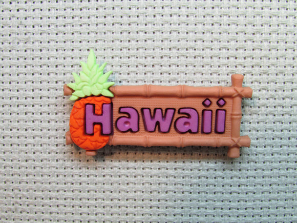 First view of the Hawaii Needle Minder