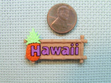 Second view of the Hawaii Needle Minder