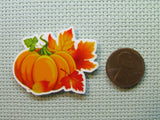 Second view of the Autumn Pumpkin Needle Minder