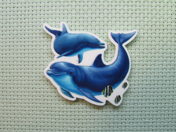 First view of the Blue Dolphins Needle Minder