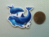 Second view of the Blue Dolphins Needle Minder