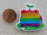 Second view of Rainbow Frog Needle Minder.