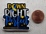 Second view of Down Right Perfect Needle Minder.