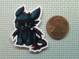 Second view of the Toothless Needle Minder